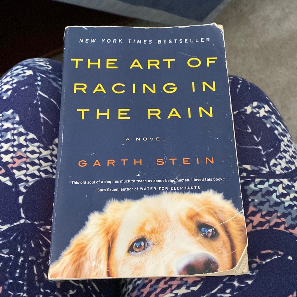 NEW YORK TIMES BESTSELLER
THE ART OF RACING IN THE RAIN